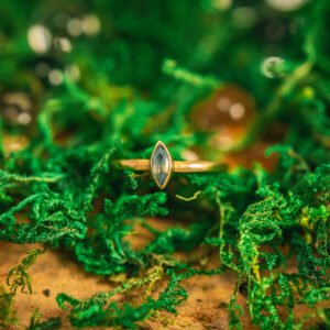 Geologic garden v1 18