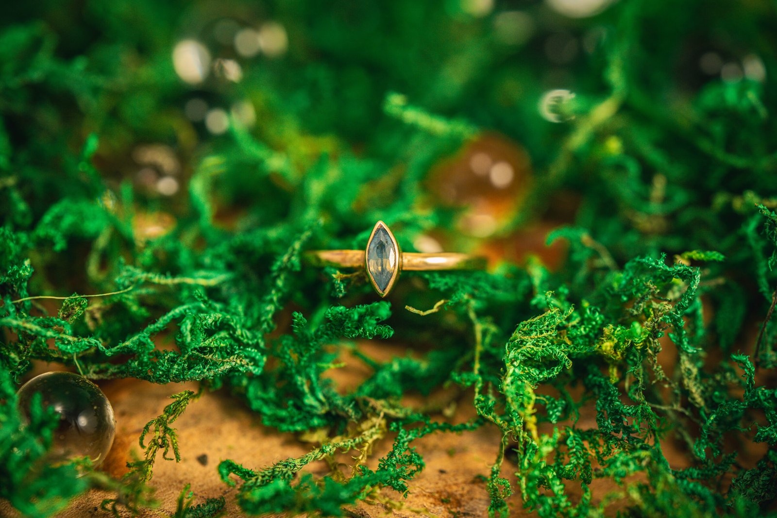 Geologic garden v1 18