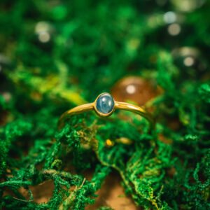 Geologic garden v1 23