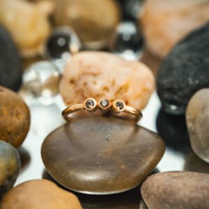 Geologic garden v1 40