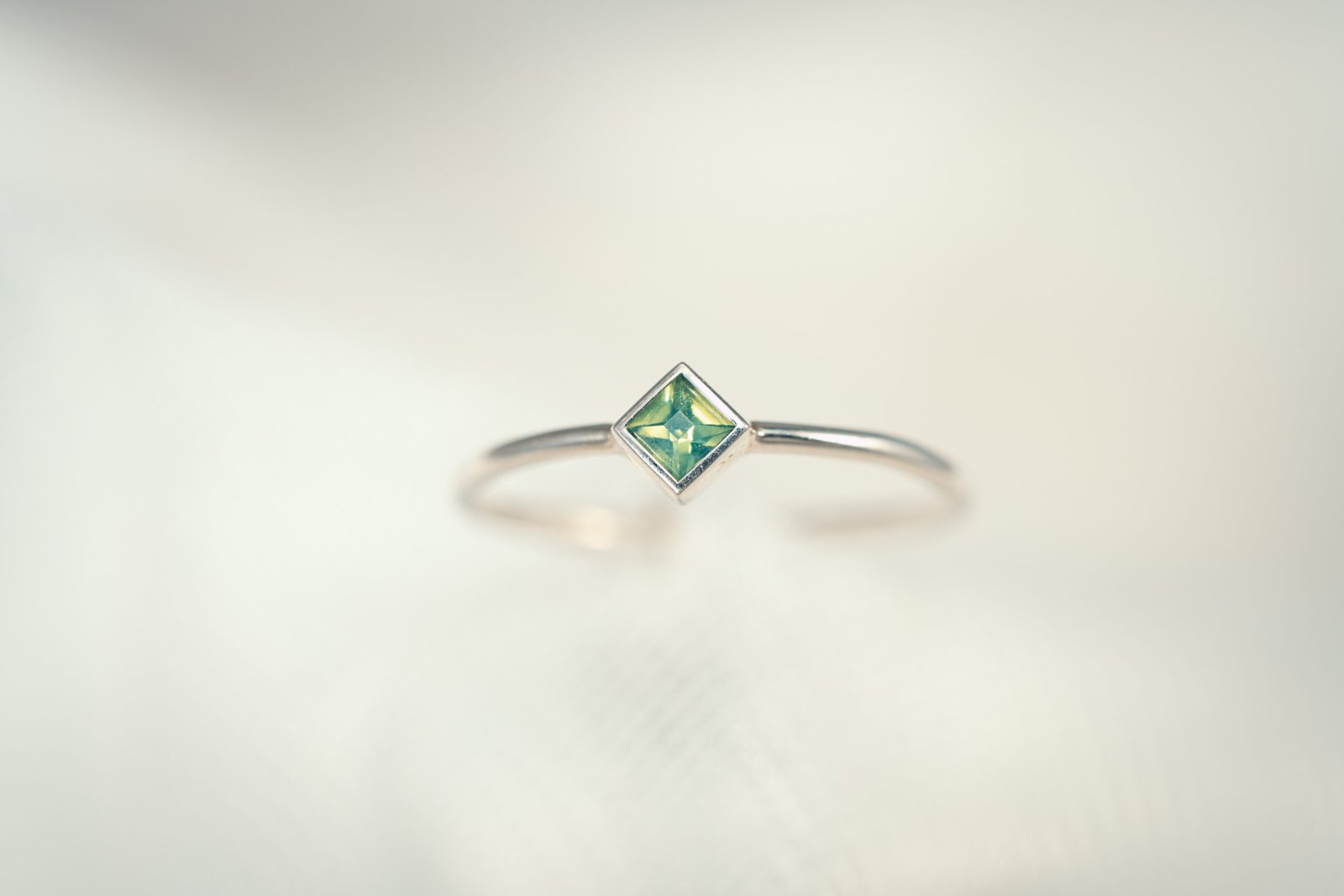 Geologic garden v1 119