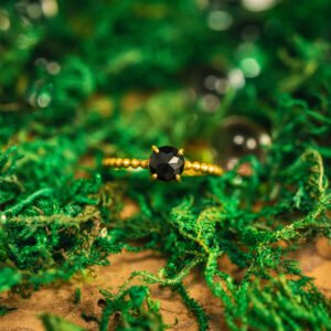 Geologic garden v1 16