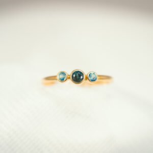 Geologic garden v1 85